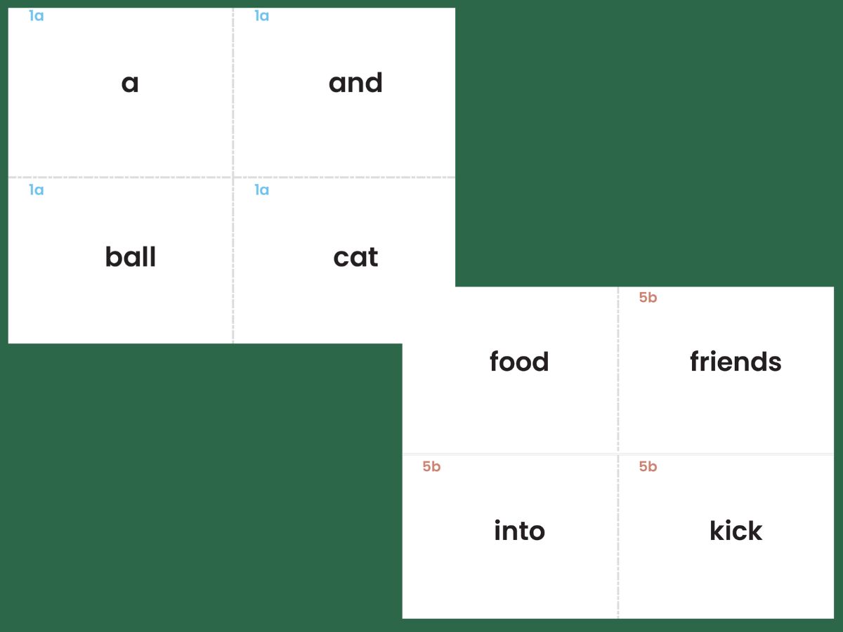Ella and Mark flashcards